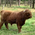 캠프장 Gezellige Ruime Cottage, Prive, 2 Slaapkamers, Hond Welkom!