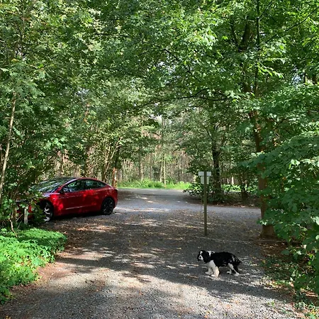 Gezellige Ruime Cottage, Prive, 2 Slaapkamers, Hond Welkom! Camping Hattemerbroek