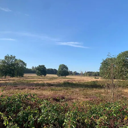 Gezellige Ruime Cottage, Prive, 2 Slaapkamers, Hond Welkom! Hattemerbroek