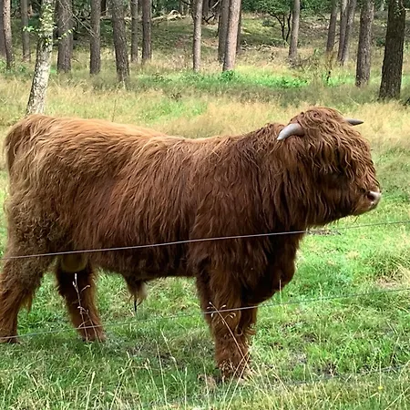 Campsite Gezellige Ruime Cottage, Prive, 2 Slaapkamers, Hond Welkom!