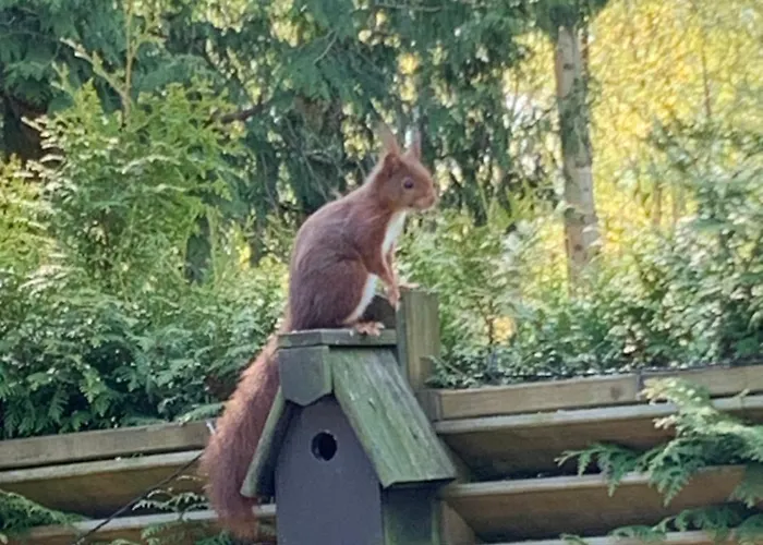 Gezellige Ruime Cottage, Prive, 2 Slaapkamers, Hond Welkom! Camping *