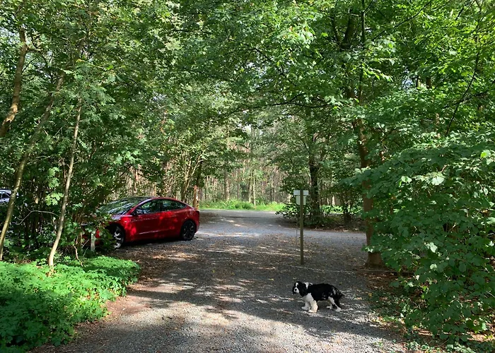 Gezellige Ruime Cottage, Prive, 2 Slaapkamers, Hond Welkom! Kamp alanı Hattemerbroek