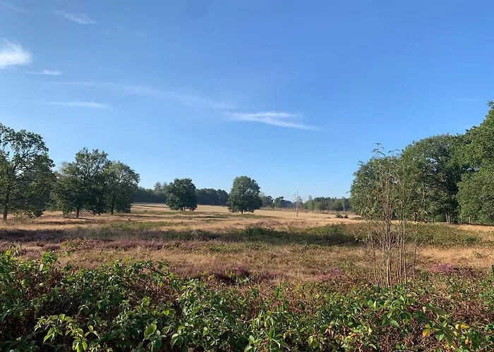 Gezellige Ruime Cottage, Prive, 2 Slaapkamers, Hond Welkom! Hattemerbroek