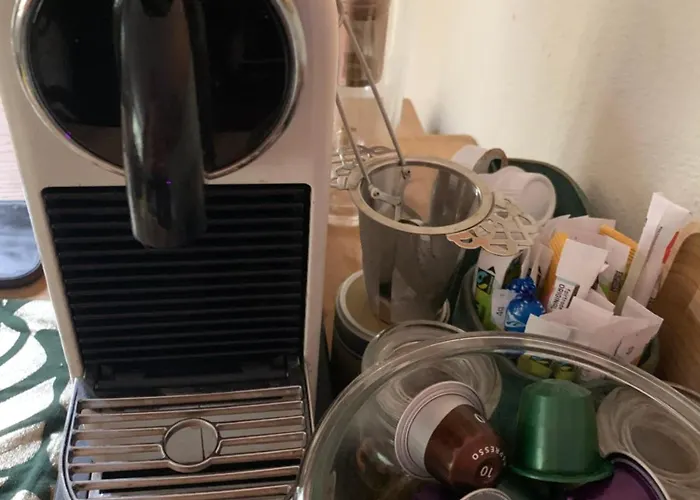 Kamp alanı Gezellige Ruime Cottage, Prive, 2 Slaapkamers, Hond Welkom! Hattemerbroek