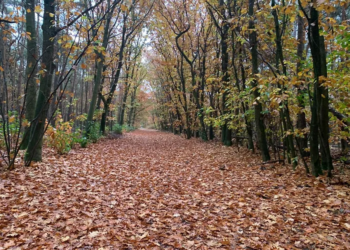Gezellige Ruime Cottage, Prive, 2 Slaapkamers, Hond Welkom! Kamp alanı *