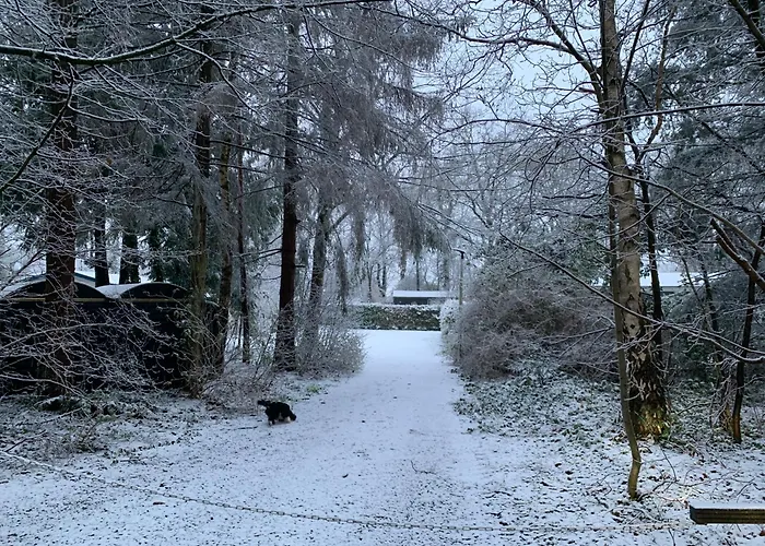 Gezellige Ruime Cottage, Prive, 2 Slaapkamers, Hond Welkom! * Hattemerbroek