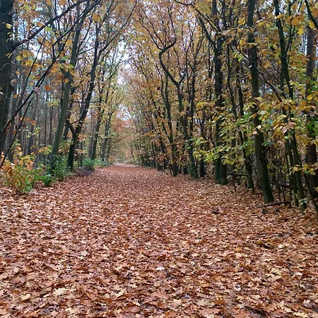 Gezellige Ruime Cottage, Prive, 2 Slaapkamers, Hond Welkom! キャンプ場 *