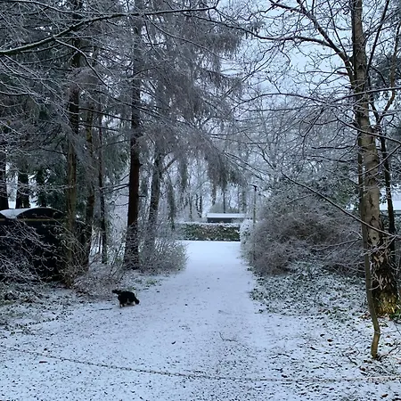 Gezellige Ruime Cottage, Prive, 2 Slaapkamers, Hond Welkom! * Hattemerbroek